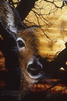 Staying Safe 2 Fine Art Print