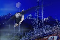 Misty Moonlight Fine Art Print