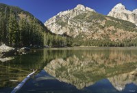 Teton D Fine Art Print