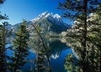 Teton G Fine Art Print
