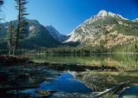 Teton N Fine Art Print