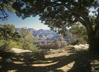 Grand Canyon D Fine Art Print