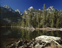 Teton A Fine Art Print