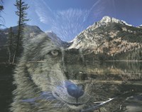 Moments Past Fine Art Print