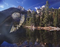 Phantom Fine Art Print