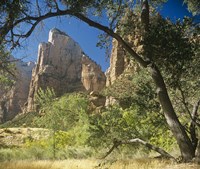 Zion D Fine Art Print