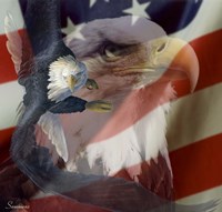 Heritage 2 Fine Art Print