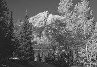 Teton 4 Fine Art Print