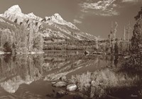 Sepia Teton 1 Fine Art Print