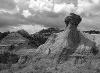 Theodore Roosevelt National Fine Art Print