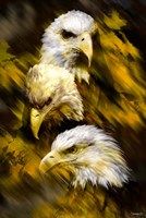 Eagle Three Fine Art Print