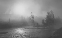 Yellowstone 2 Fine Art Print
