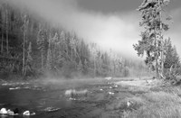 Yellowstone 1 Fine Art Print