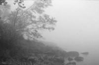 North Shore 2 Fine Art Print