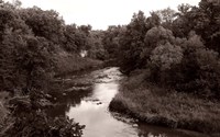 Buffalo River 2 Fine Art Print