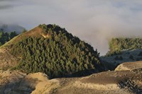 Daytime Mountain Landscape Fine Art Print