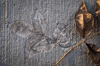 Cement Autumn 139 Fine Art Print