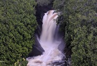 Lake Superior Waterfall Between Trees Fine Art Print