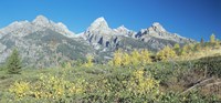 Grand Teton 15 Fine Art Print