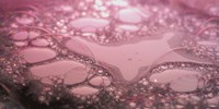 Water Reflecting Purple Fine Art Print