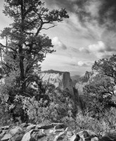 Zion 4 Fine Art Print