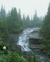 Misty Daytime Falls Fine Art Print