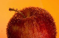 Red Fruit And Water Droplets Fine Art Print