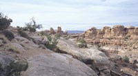 Canyonland 11 Fine Art Print