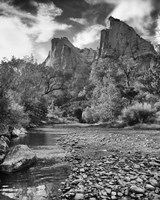 Zion 1 Fine Art Print