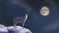 Moon Dog Fine Art Print