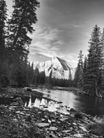 Trees And Mountains White Vertical Fine Art Print