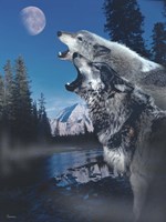 Silvery Moon Fine Art Print