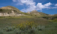 Wildflowers And Mountiains With Clouds Fine Art Print