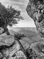 Grand Canyon 7 Fine Art Print