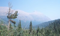 Glacier National Park 19 Fine Art Print