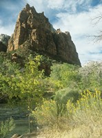 Zion 5 Fine Art Print