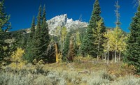 Grand Teton 11 Fine Art Print