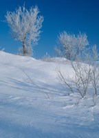 Snow Terrain I Fine Art Print