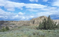 Theodore Roosevelt National Park 4 Fine Art Print