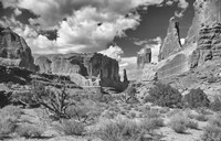 Valley Of Rock And Shrubs Fine Art Print
