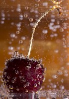 Cherry Underwater Covered In Water Drops I Fine Art Print