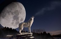 Moonset Fine Art Print