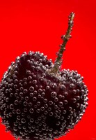 Cherry Covered In Water Drops III Fine Art Print