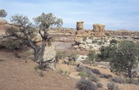 Canyonland 8 Fine Art Print