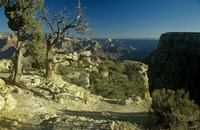 Grand Canyon 6 Fine Art Print