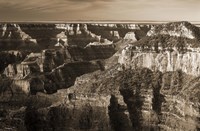 Sepia Grand Canyon 1 Fine Art Print