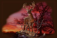 Red Autumn Fine Art Print