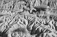 Ridged Land Rocks Black And White Fine Art Print