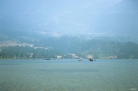 Misty Lake Swim Fine Art Print