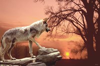 Sunset Ridge Fine Art Print